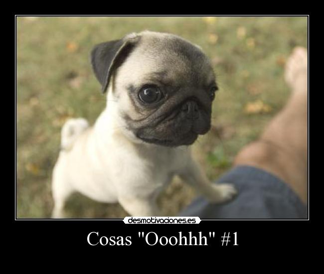Cosas Ooohhh #1 -