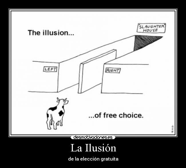 carteles ilusion eleccion gratis desmotivaciones