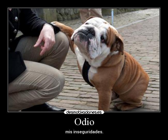 Odio - mis inseguridades.