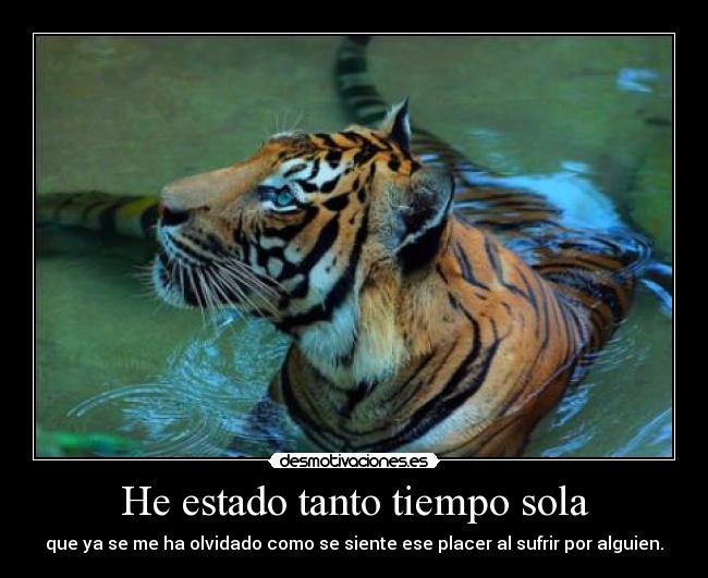 He estado tanto tiempo sola -