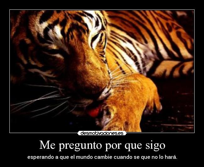 Me pregunto por que sigo - esperando a que el mundo cambie cuando se que no lo hará.