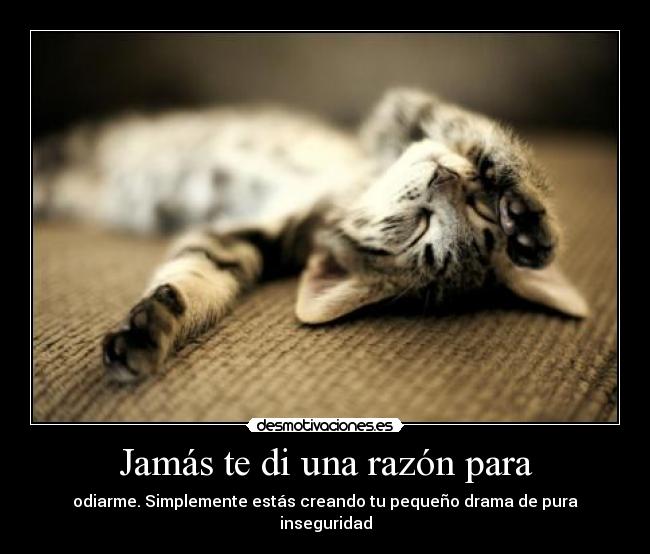 Jamás te di una razón para -