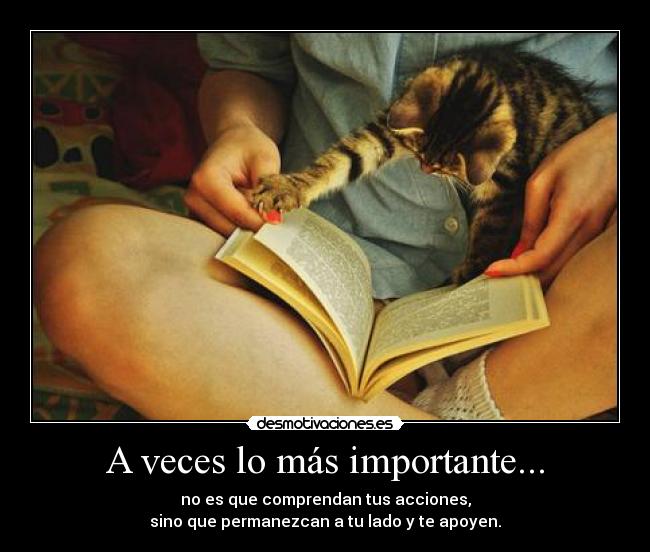 A veces lo más importante... - 