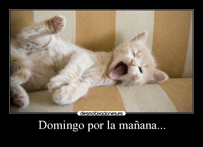 Domingo por la mañana... - 