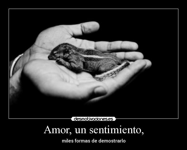 Amor, un sentimiento, - 