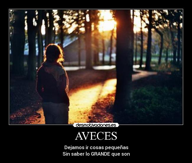 carteles aveces dejamos cosas pequenas desmotivaciones