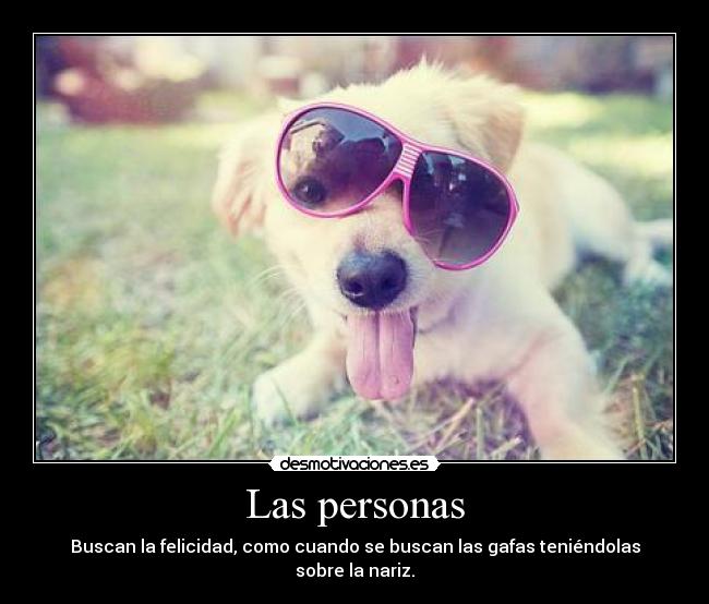 Las personas - Buscan la felicidad, como cuando se buscan las gafas teniéndolas sobre la nariz.