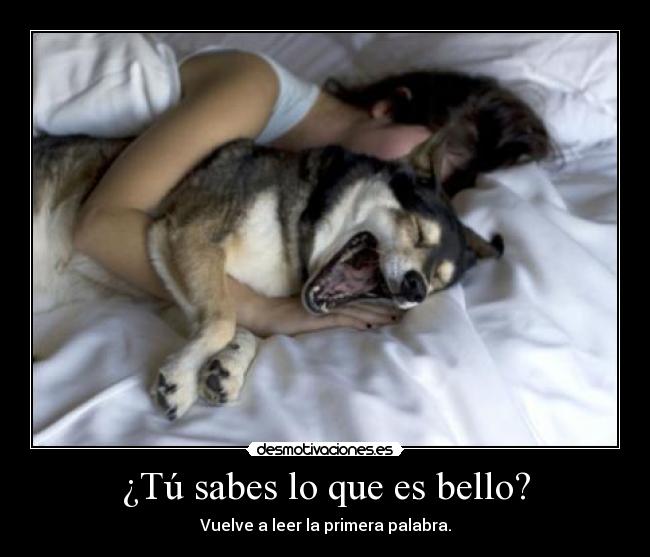 ¿Tú sabes lo que es bello? - Vuelve a leer la primera palabra.