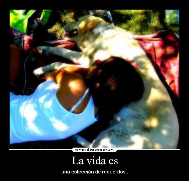 carteles vida vida desmotivaciones