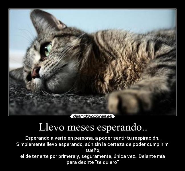 Llevo meses esperando.. - Esperando a verte en persona, a poder sentir tu respiración..
Simplemente llevo esperando, aún sin la certeza de poder cumplir mi sueño,
el de tenerte por primera y, seguramente, única vez.. Delante mía
para decirte te quiero