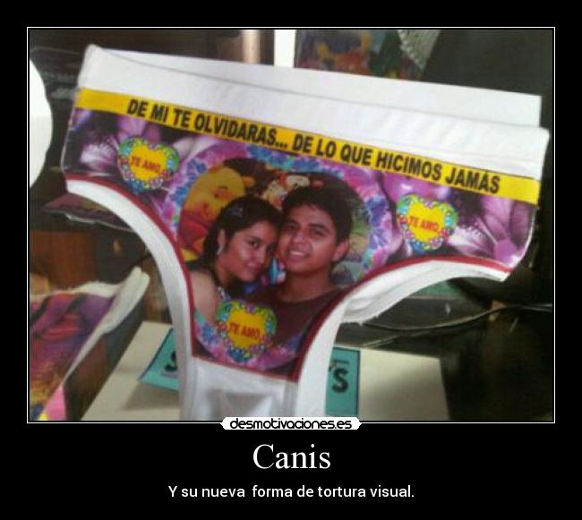 Canis - Y su nueva forma de tortura visual.