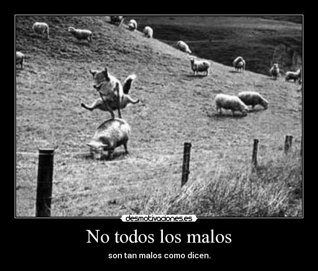 No todos los malos - son tan malos como dicen.