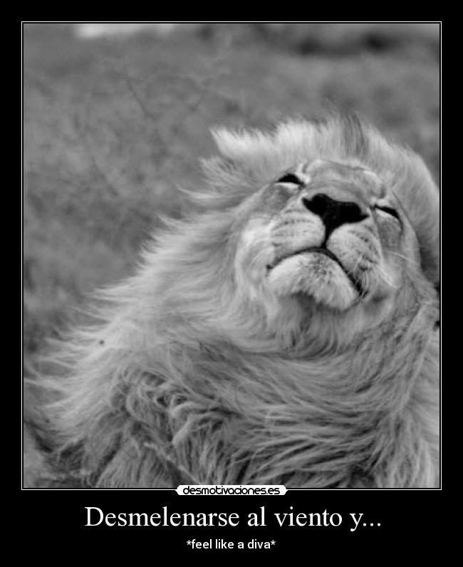 Desmelenarse al viento y... - *feel like a diva*