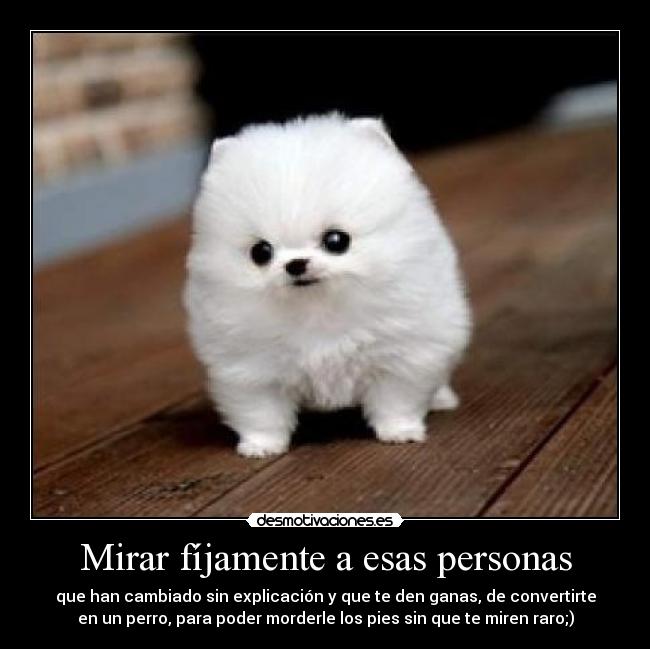 Mirar fíjamente a esas personas - que han cambiado sin explicación y que te den ganas, de convertirte
en un perro, para poder morderle los pies sin que te miren raro;)