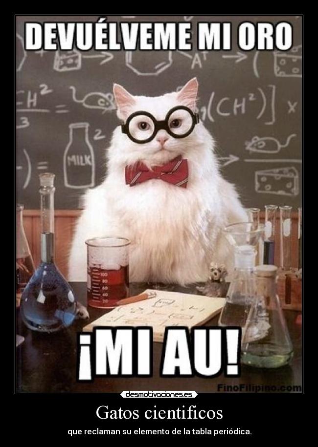 Gatos cientificos - 