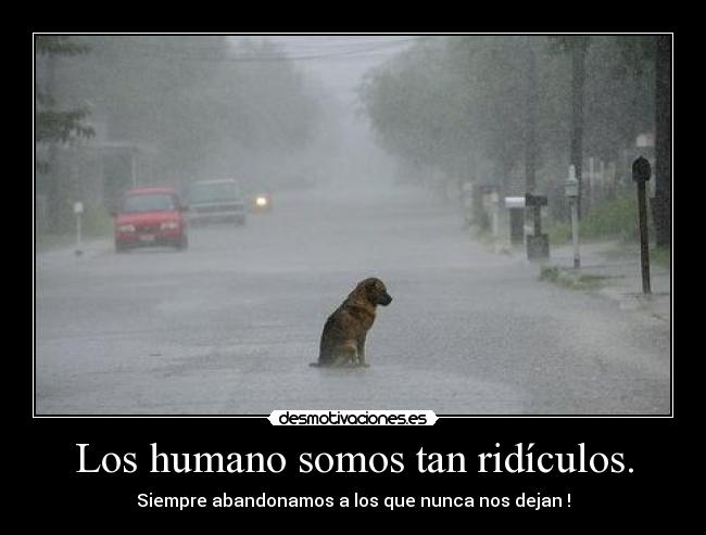 Los humano somos tan ridículos. - 