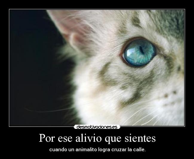 Por ese alivio que sientes -