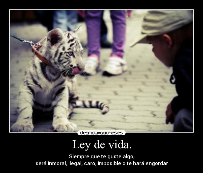 Ley de vida. -