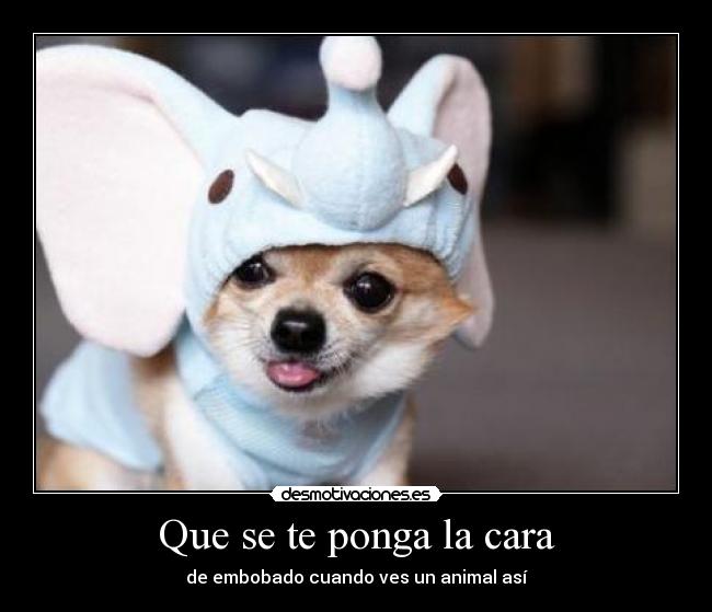 Que se te ponga la cara -