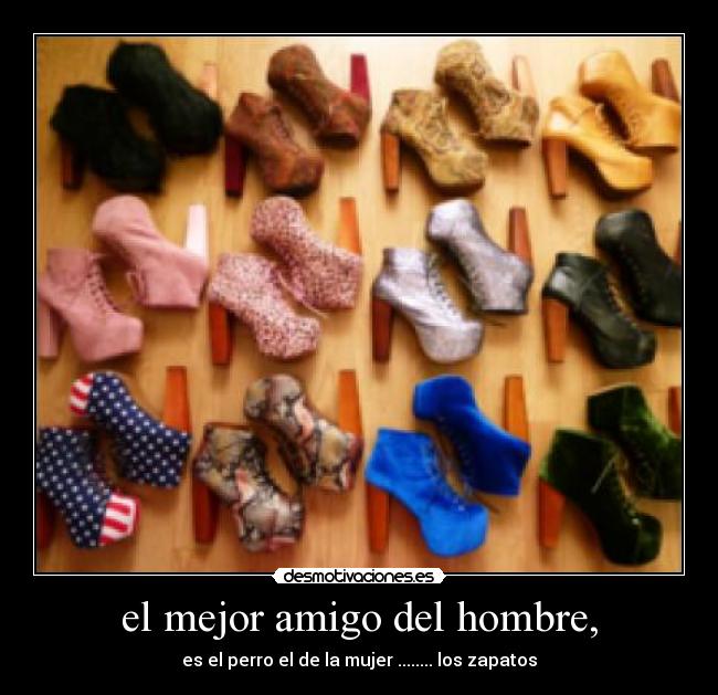 el mejor amigo del hombre, - es el perro el de la mujer ........ los zapatos