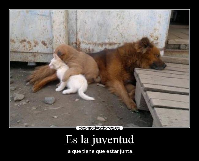 Imágenes y Carteles de RACIMO Desmotivaciones