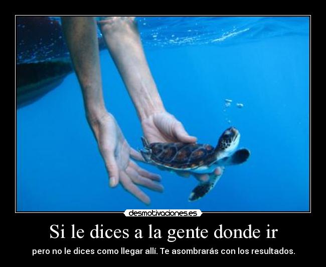 Si le dices a la gente donde ir - pero no le dices como llegar allí. Te asombrarás con los resultados.