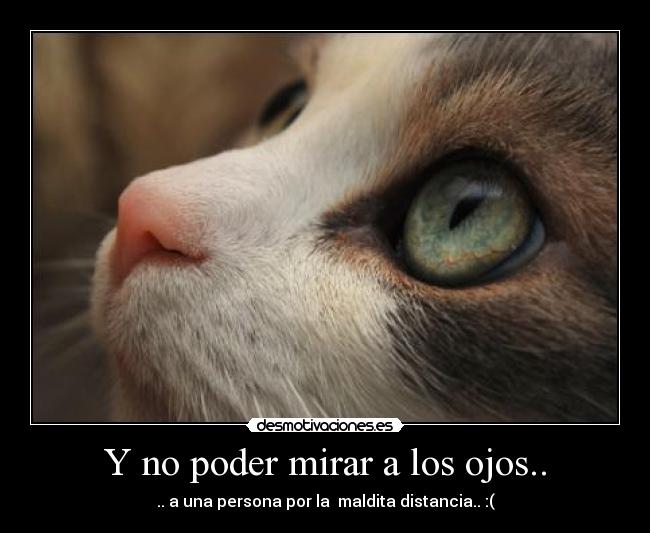 Y no poder mirar a los ojos.. - .. a una persona por la maldita distancia.. :(