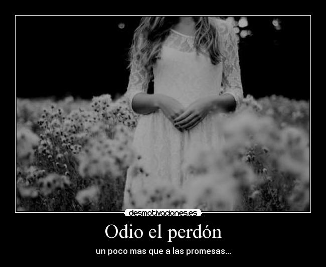 carteles odio perdon promesas odio desmotivaciones