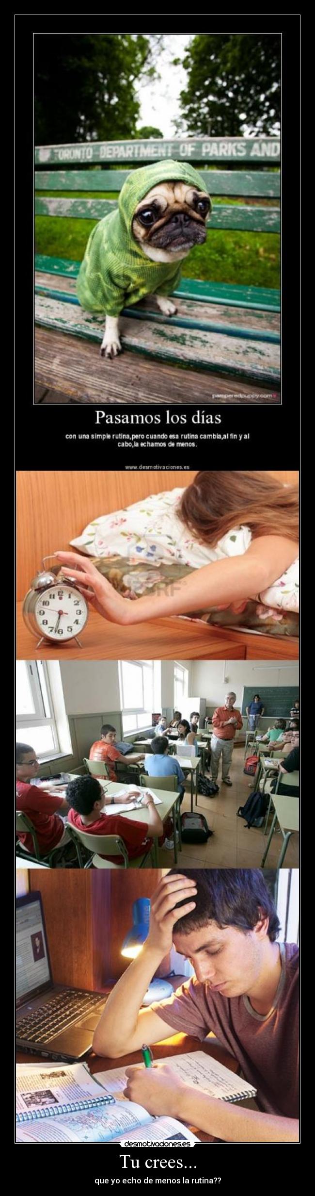 Tu crees... - que yo echo de menos la rutina??