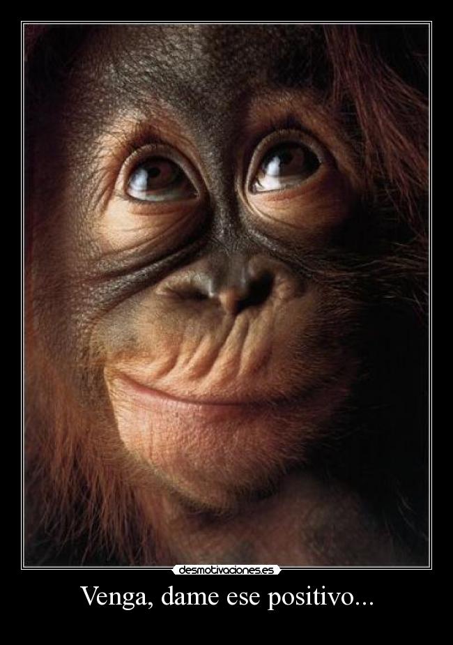 Venga, dame ese positivo... -