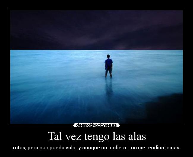 Tal vez tengo las alas - 