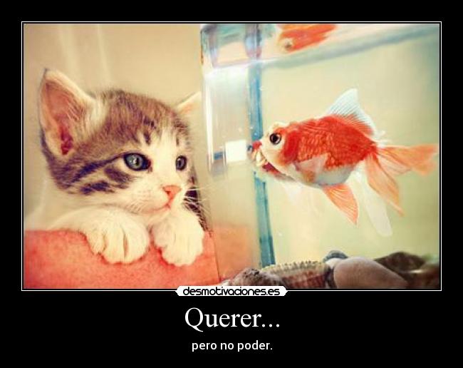 Querer... - pero no poder.