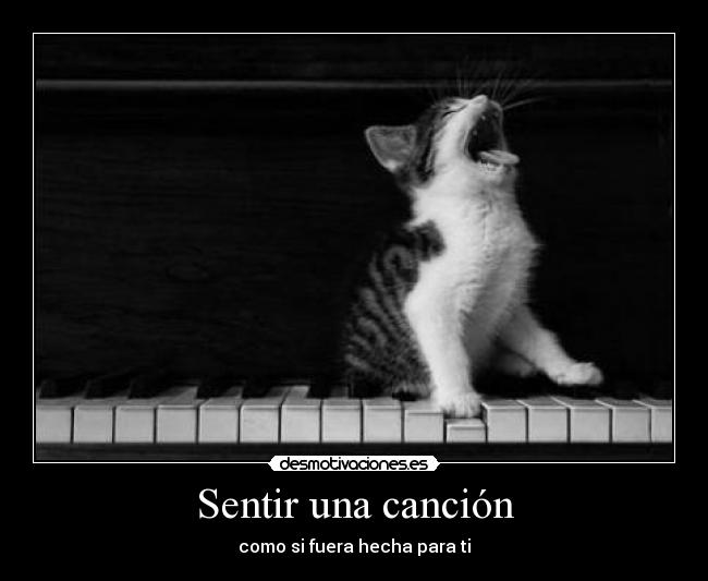 Sentir una canción - 