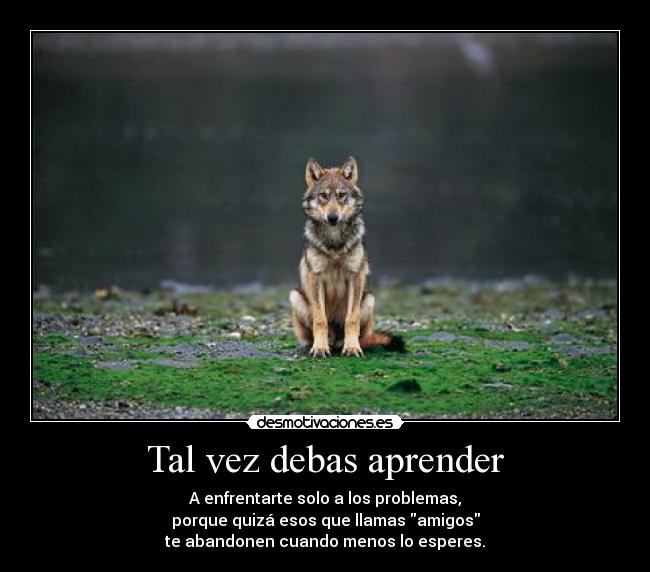 Tal vez debas aprender - A enfrentarte solo a los problemas,
porque quizá esos que llamas amigos
te abandonen cuando menos lo esperes.