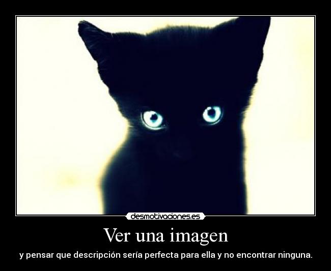 Ver una imagen - 