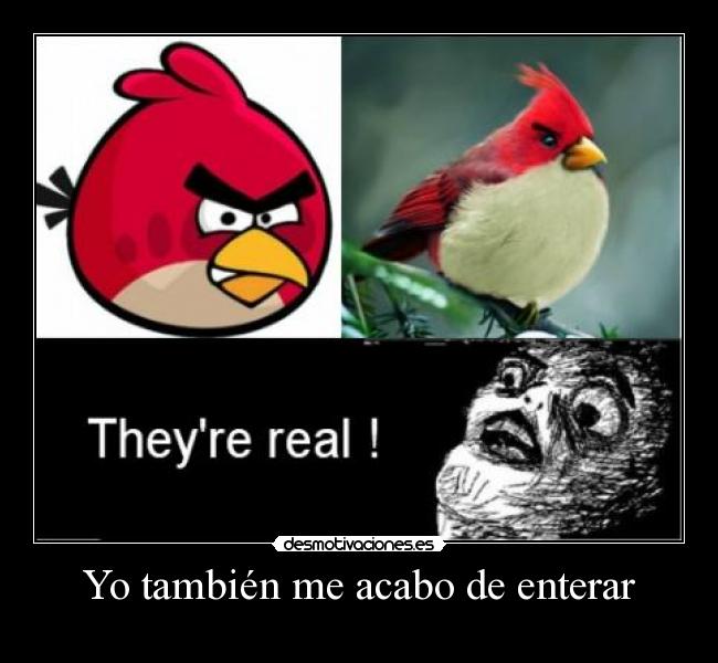 Yo también me acabo de enterar - 