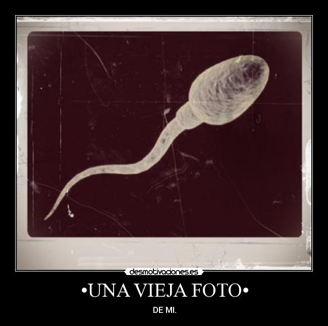 •UNA VIEJA FOTO• - 