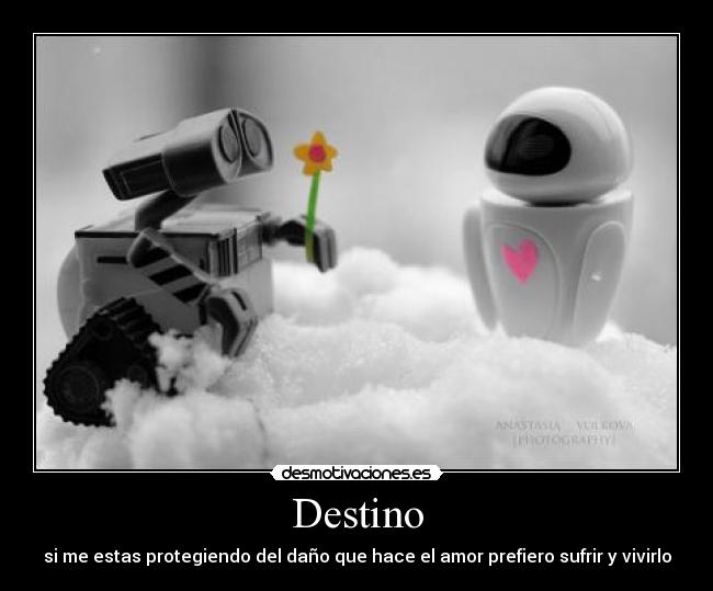 Destino - 