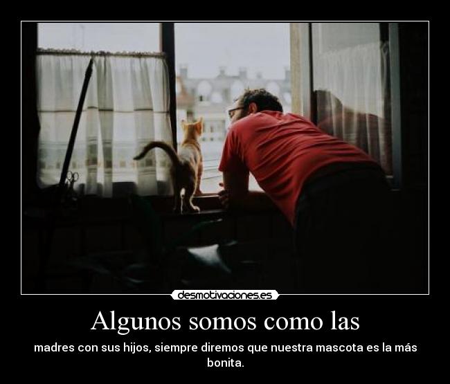 Algunos somos como las - madres con sus hijos, siempre diremos que nuestra mascota es la más bonita.