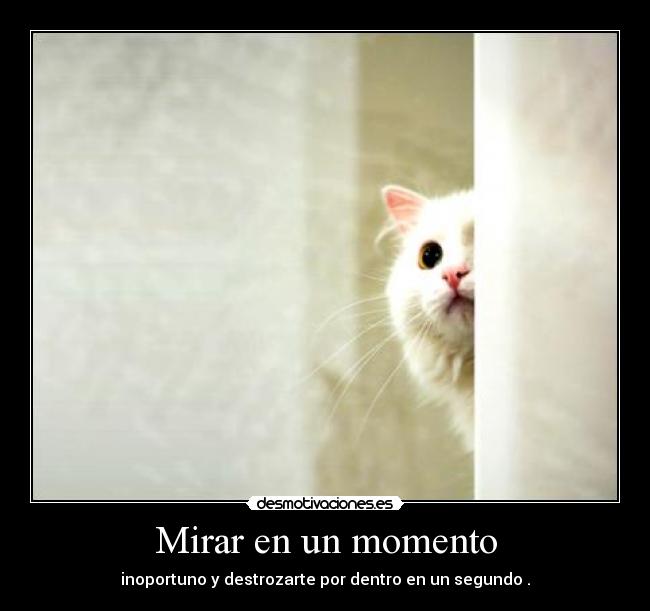 Mirar en un momento -