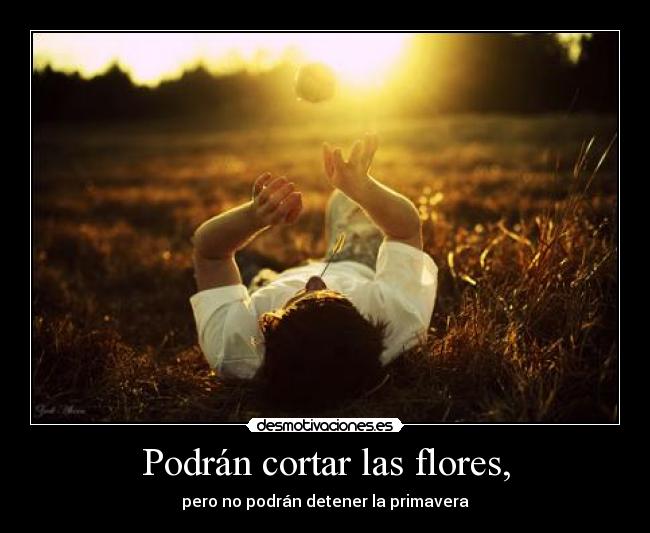 Podrán cortar las flores, - 