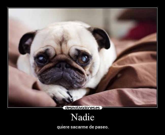 Nadie -