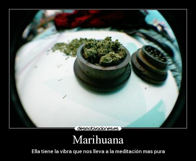 carteles 54332 desmotivaciones