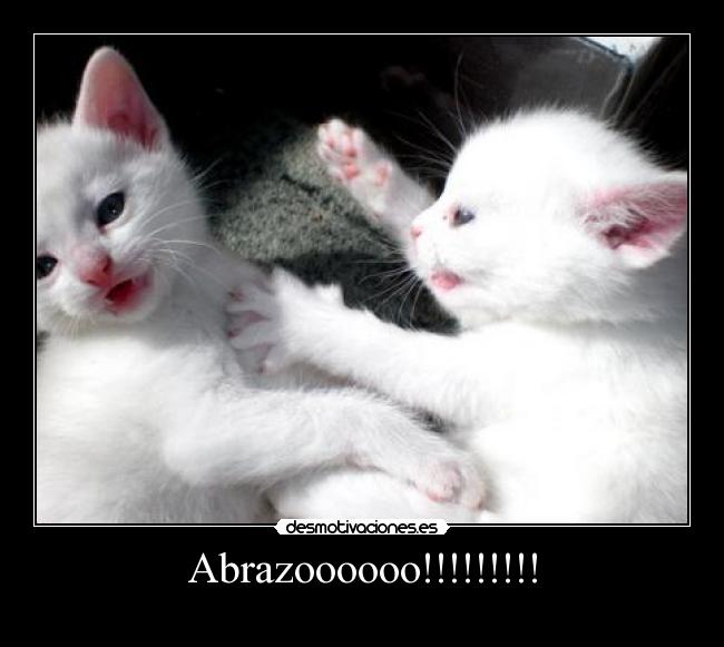 Abrazoooooo!!!!!!!!! -