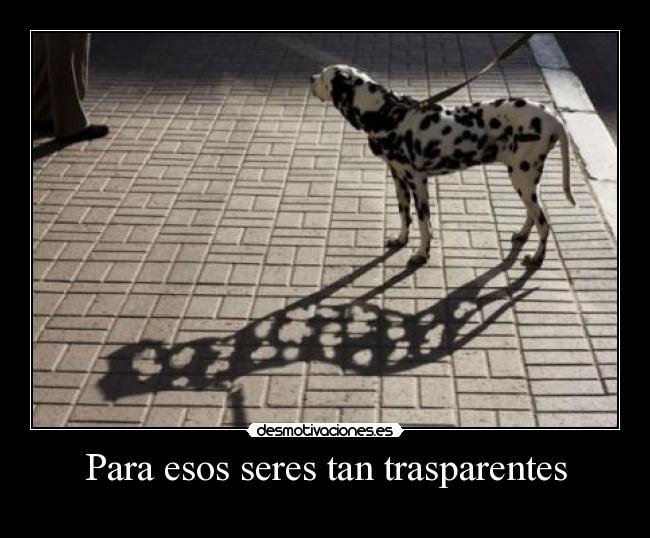 carteles ferminelfiero desmotivaciones