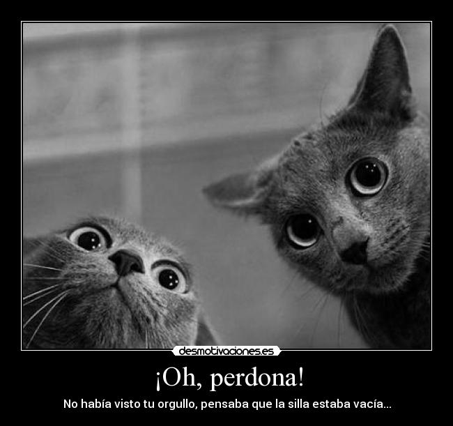 ¡Oh, perdona! -