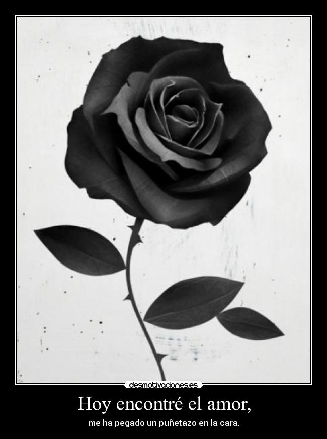 Hoy encontré el amor, - me ha pegado un puñetazo en la cara.