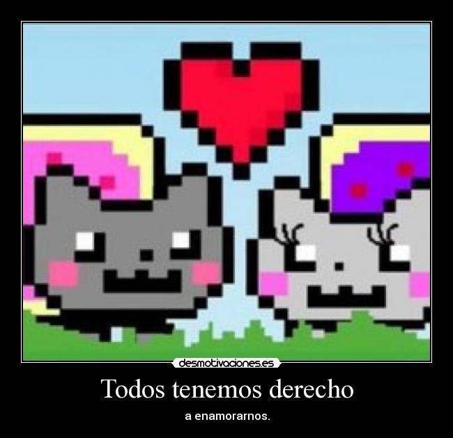 Todos tenemos derecho - a enamorarnos.