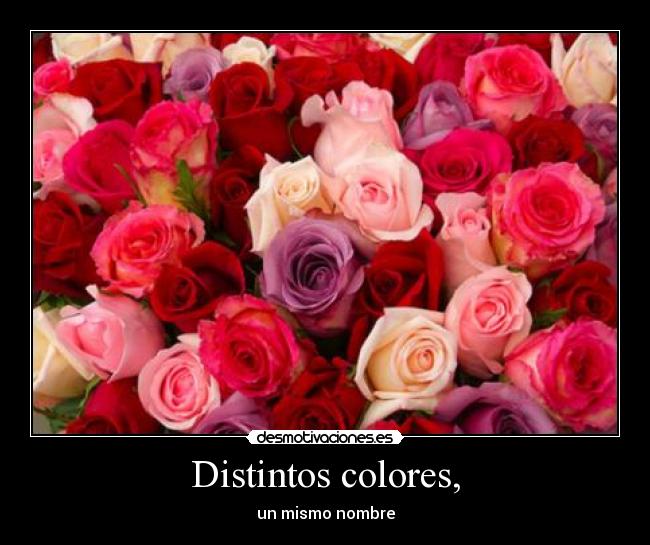 Distintos colores, - 
