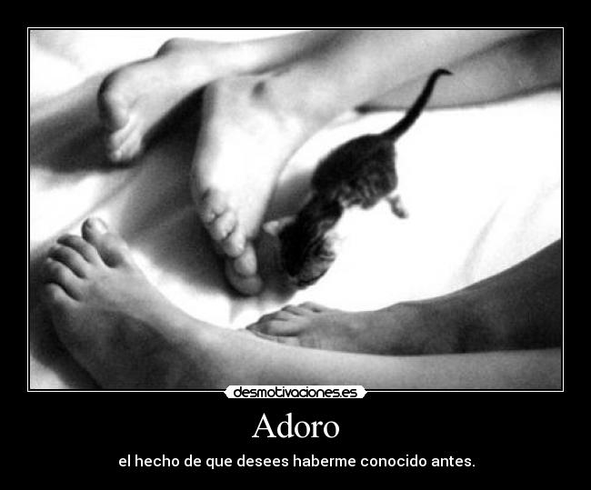Adoro - el hecho de que desees haberme conocido antes.